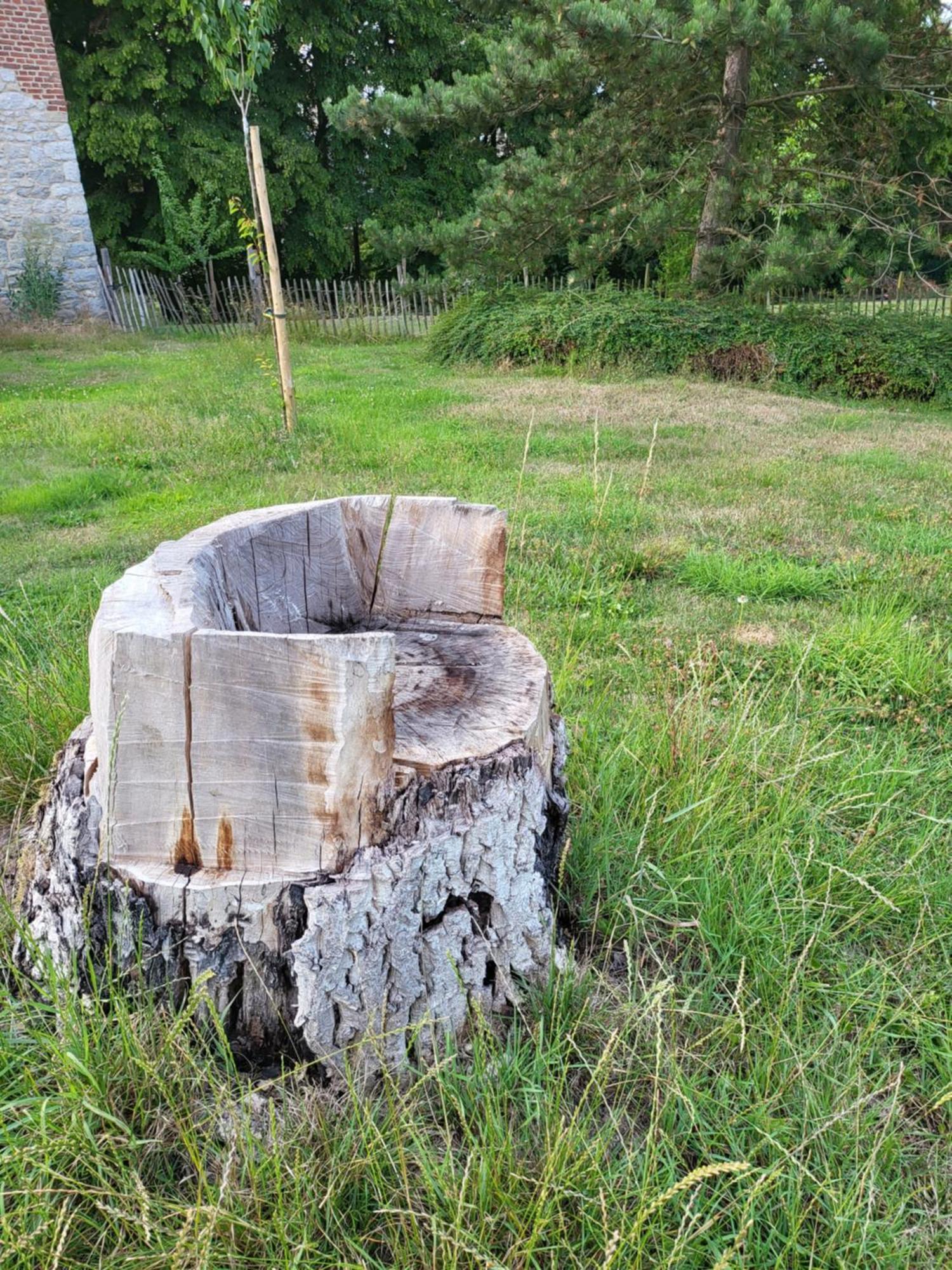 A La Salle De Jeux Et Son Jardin Autour De La Cabane Verte Dinant Eksteriør bilde